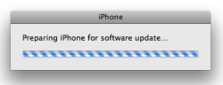 Preparing_iPhone.png