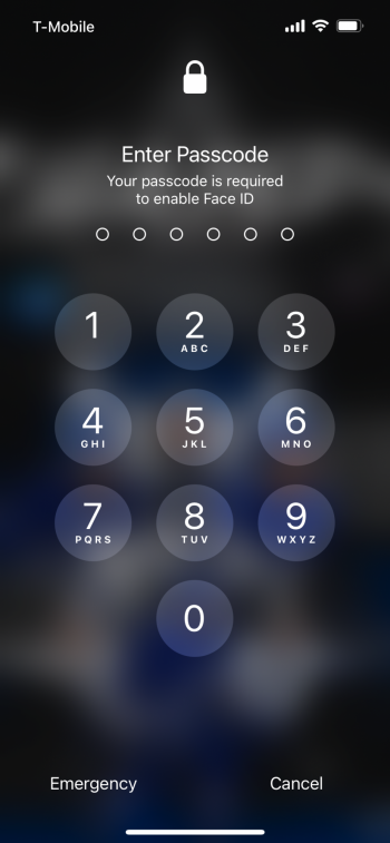 FEA6D262-87C1-4000-85AE-4012A76F3534.png