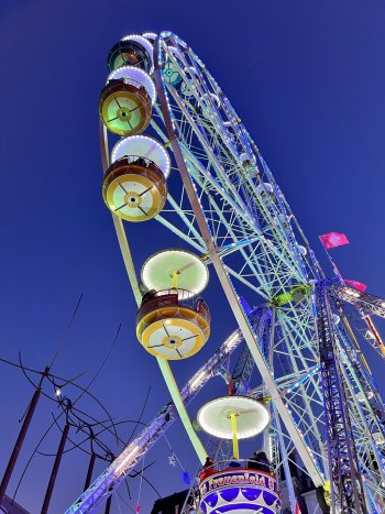 0B0C0DC6-6376-4884-9AEC-1B0DF5284338.jpeg