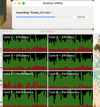 Screen Shot 2021-12-16 at 11.22.42.png