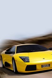 murcielago .jpg