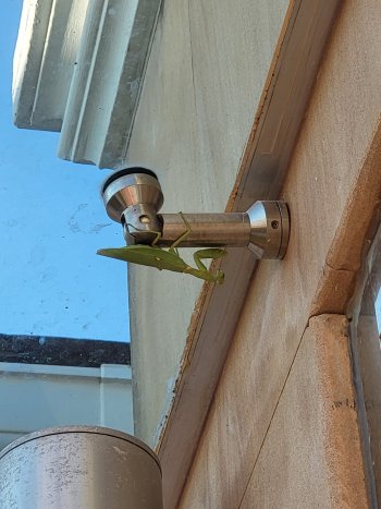 20220103_170413.jpg
