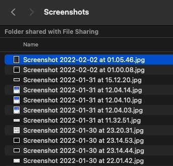 Screenshot 2022-02-02 at 01.10.56.jpg