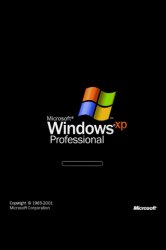 xp.jpg