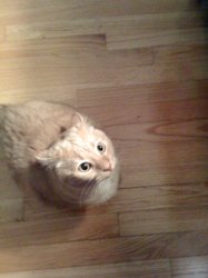 IMG_0046.JPG