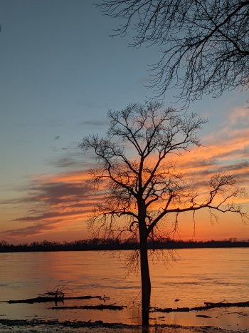 PXL_20220310_000535818.jpg