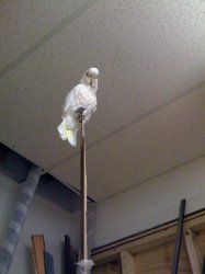 iPhone Pics 079.jpg