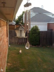 IMG_10024.jpg