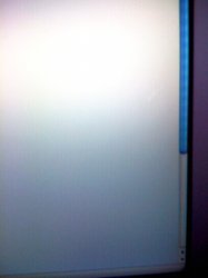 IMG_0010.JPG