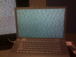 IMG00037.jpg