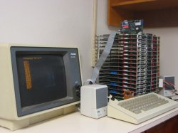 kfest2008-01.jpg