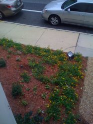 outside_work_window.jpg
