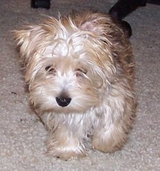 4 months old.JPG