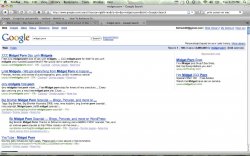 Picture-1.jpg