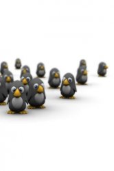 TinyPenguins.jpg