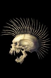 SkullMoHawk.jpg