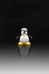 LargerPenguin.jpg