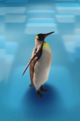 wall_king_standing2.jpg
