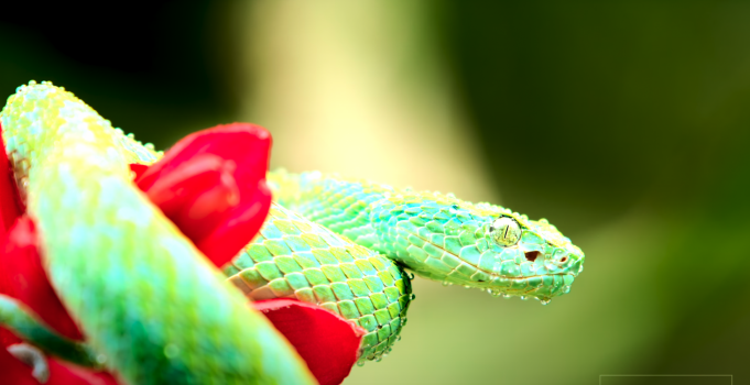 Screen Shot 2022-04-27 at 8.58.27 PM.png