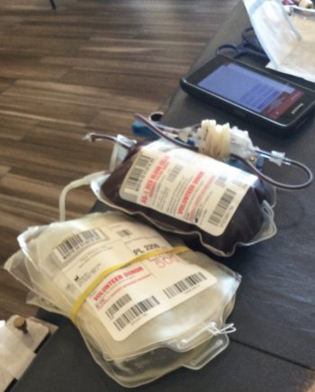 blood1 172-D464-D-776-C-4-C57-B0-AD-913-B95-E06532.jpg