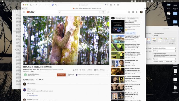 Screen Shot 2022-05-20 at 16.19.04.jpg