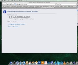 safari.jpg
