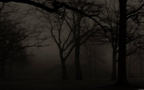 Screen Shot 2022-06-04 at 07.36.35.jpg