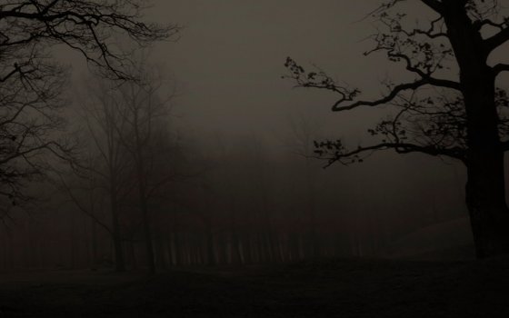 Screen Shot 2022-06-04 at 07.37.00.jpg