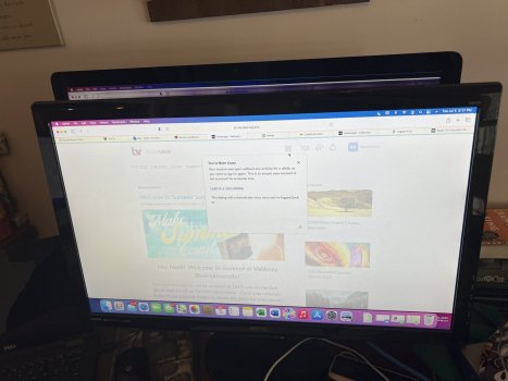 image.jpg image.jpg