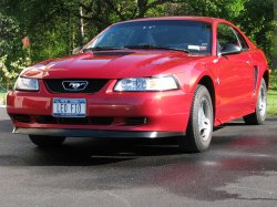 Mustang 2.jpg