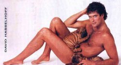 David-Hasselhoff.jpg