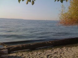 IMG_0820.JPG