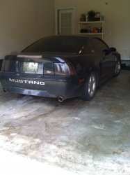 IMG_0018.jpg