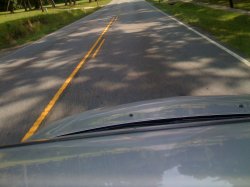 IMG_0047.jpg