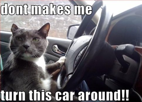 Dont Make Me Turn.jpeg