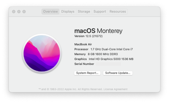 MacBook-Air 6,2 Mid 2013_Monterey 12.5 (21G72).png