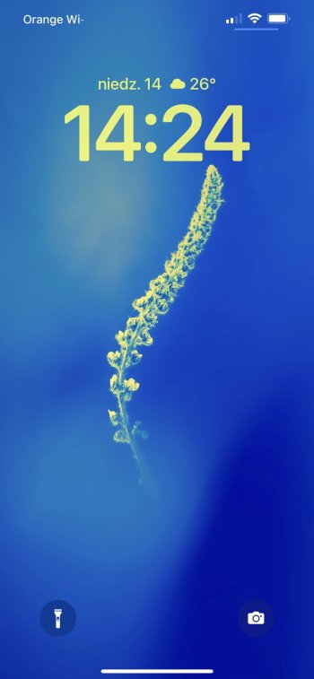 A76DE629-75B9-4018-A086-A3066ACE5072.jpeg