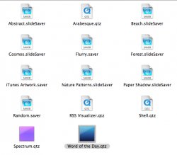 Screen Saver image.jpg
