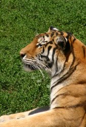IMG_1799wp.jpg