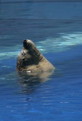 IMG_1829wp.jpg