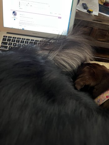 IMG_7605.JPG IMG_7605.JPG