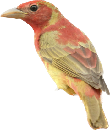 1663099128731.png