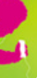 Picture 1.png