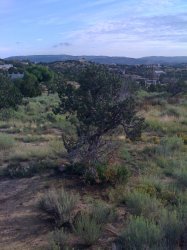 IMG_0048.JPG