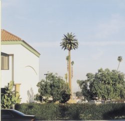 Sample VZW monopalm #1 Knotts Palm 3.jpg