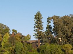 California medical 045.jpg