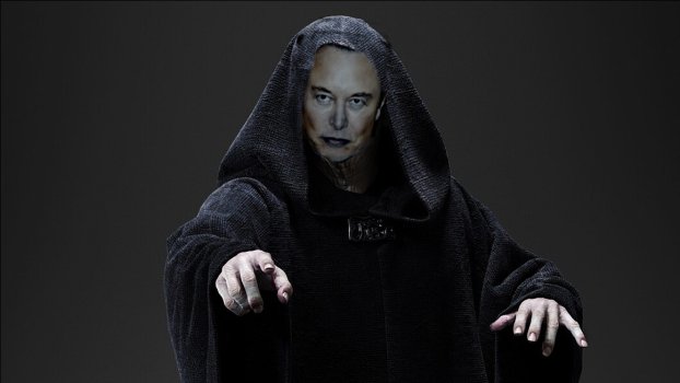 elon palp.jpg