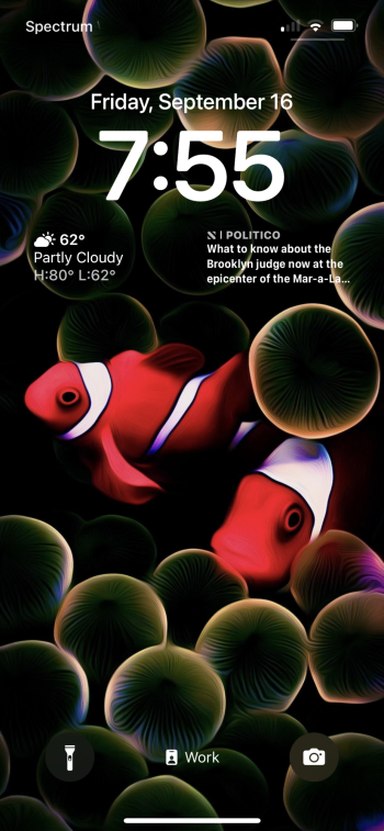 7913C650-9A22-44CC-A076-398EE5F3B205.png