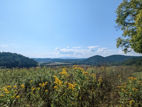PXL_20220918_160205068.jpg