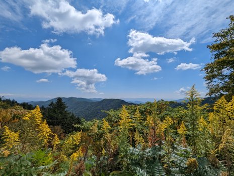 PXL_20220919_174137894.jpg